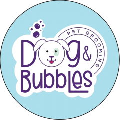 Dog & Bubbles
